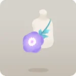 オーロラアネモネポシェット