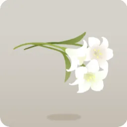 摘んできたユリ