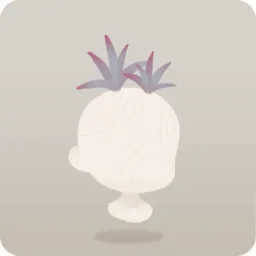細長い葉の植物