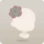 サンルームエケベリア