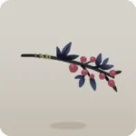 冬の枝