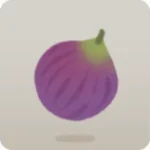 祈りを込めた無花果