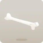 長い骨