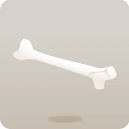 長い骨