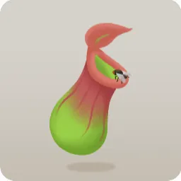 手持ちウツボカズラ