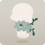 多肉植物のマフラー