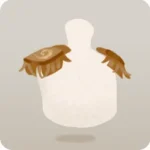 騎士の肩章