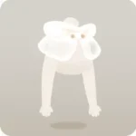 アーキタイプモチーフケープ