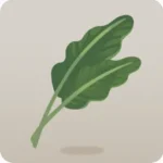 大きな植物の葉っぱ