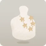 星形パーツのネックレス