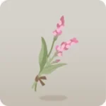 手持ちイヌタデ