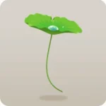 何かの芽
