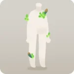 生えた多肉植物