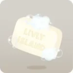 爽やかな香りの洗濯用せっけん