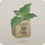 コーヒーの苗