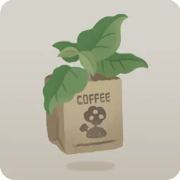 コーヒーの苗