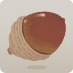 手持ちどんぐり