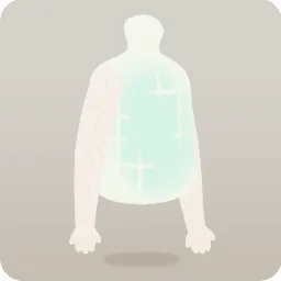 電子発光のボディ