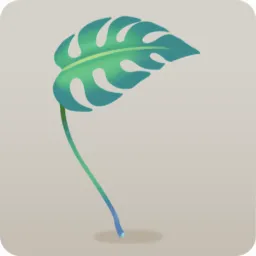 手持ちモンステラ・緑