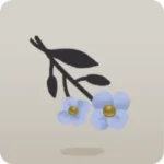 摘んだ小さな花