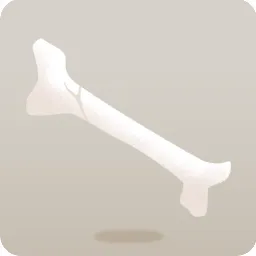 立派な骨