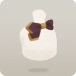 星の研究者のリボンタイ