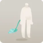 トゲフラワーの葉の尻尾
