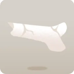 折れた骨