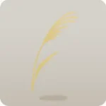 手持ちススキ