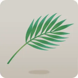 手持ちヤマドリヤシ