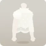 庭小人のチュールブラウス
