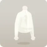 書生風スタンドカラーのシャツ