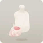 貝殻のポーチ