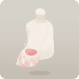 貝殻のポーチ