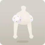 花と門扉の島のつけ袖