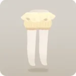 ホワイトキノコドロワーズ