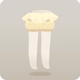 ホワイトキノコドロワーズ