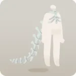 ゴーストブライドのホネホネアクセ