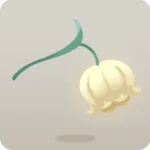 摘んできた星明かりのスズラン