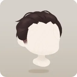 ピシッと決めた髪