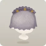 夜の闇のレースベール