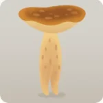 森のキノコ