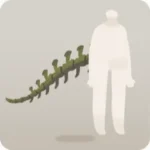 獣脚類の尻尾の骨