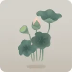 蓮のつぼみ