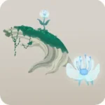 神秘の森の木