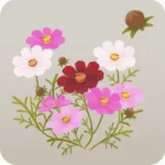 コスモスの木