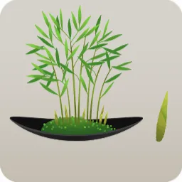竹の盆栽の木