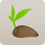 砂に埋まったココナッツ