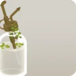 時が経った霧吹き