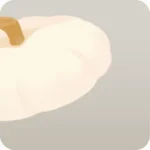 かぼちゃのふた・白